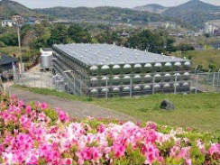 东莞不锈钢水箱工程案例